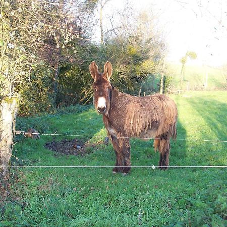 Tillieres La Genoise Bed & Breakfast エクステリア 写真
