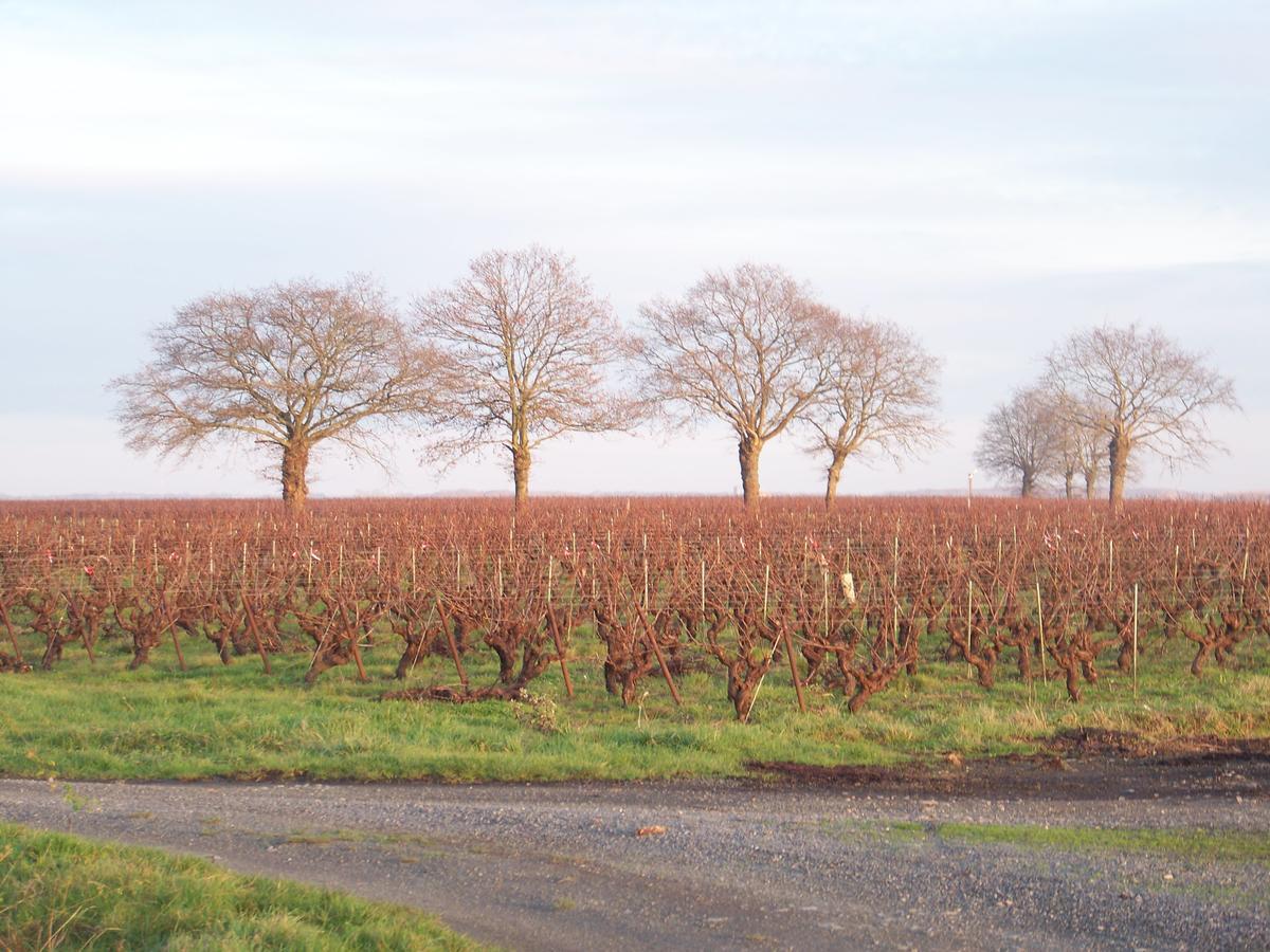 Tillieres La Genoise Bed & Breakfast エクステリア 写真